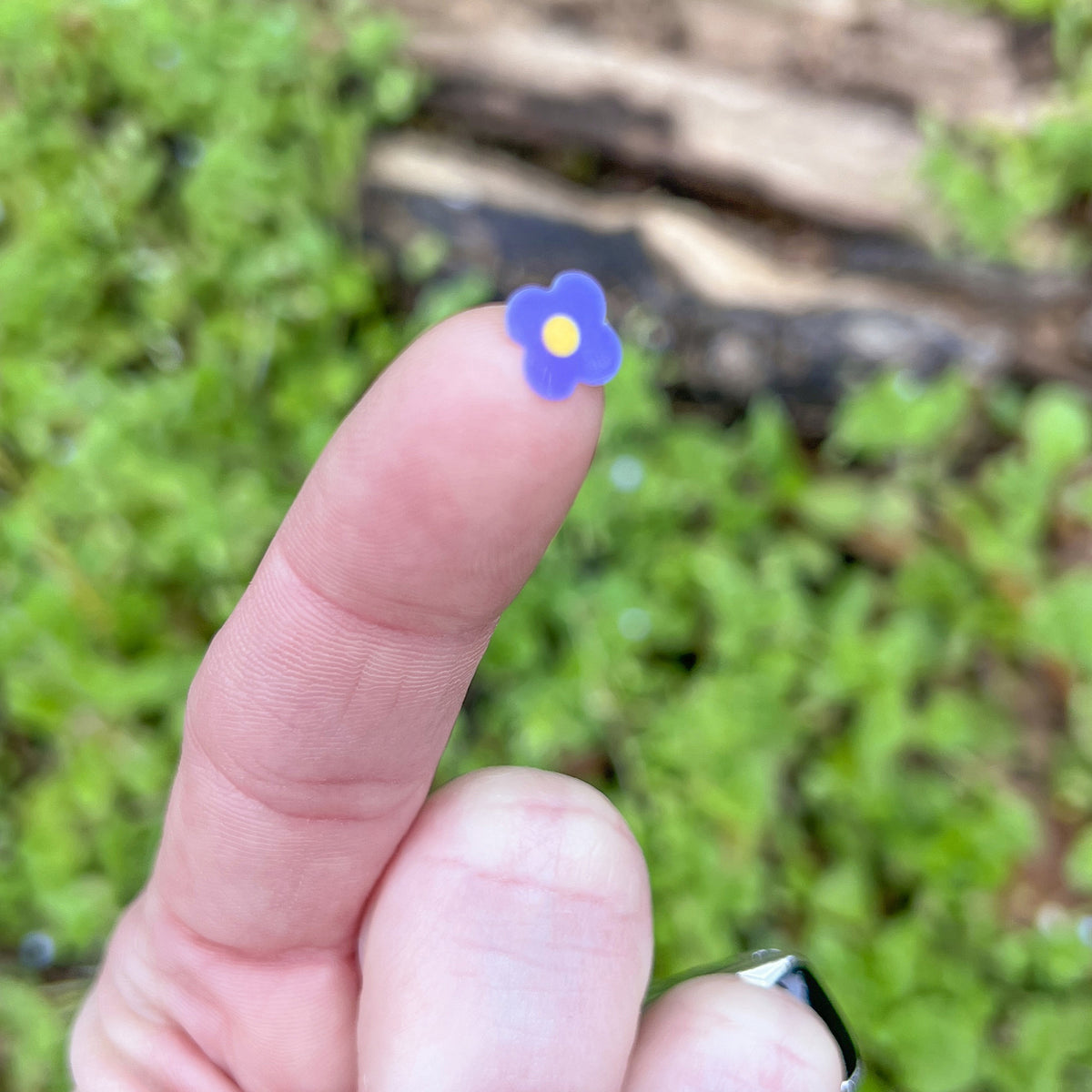 A single Speedwell Art Sticker depicting the iconic speedwell flower is photographed on the tip of a person's finger against vibrant green foliage.