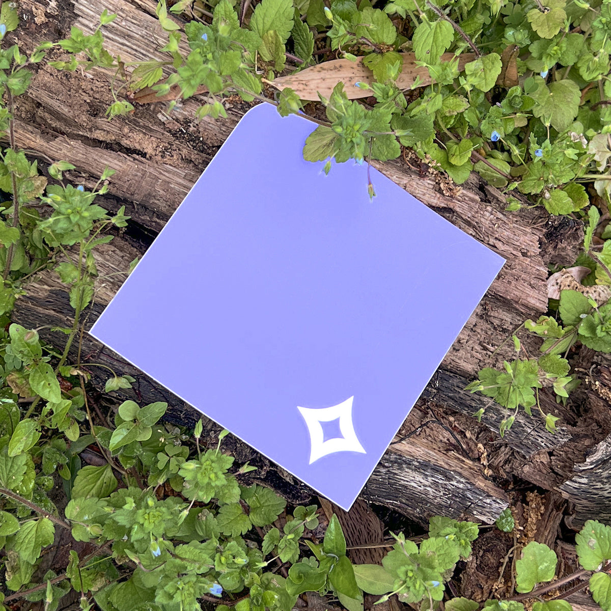 A single Pocket Sticker with white diamond motif photographed against living speedwell flowers.