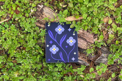 The Speedwell Cover Sticker surrounded by living speedwell flowers.