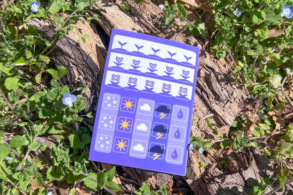 A single sheet of Speedwell Icon Stickers photographed against the vibrant green and indigo of living Speedwell flowers.