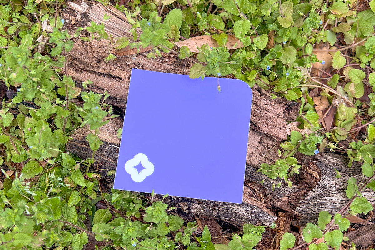 A single Pocket Sticker with white flower motif photographed against living speedwell flowers.