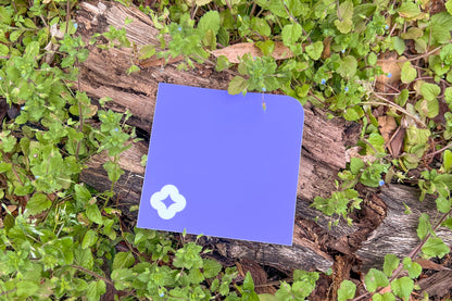 A single Pocket Sticker with white flower motif photographed against living speedwell flowers.