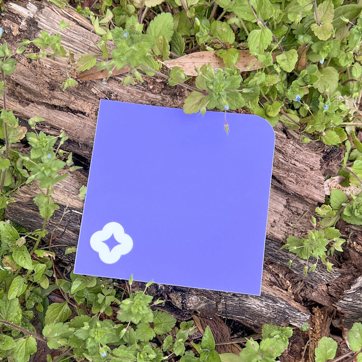 A single Pocket Sticker with white flower motif photographed against living speedwell flowers.