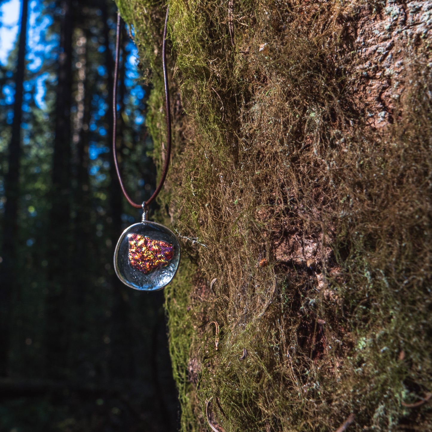 the ember glass pendant hanging next to a mossy tree trunk.