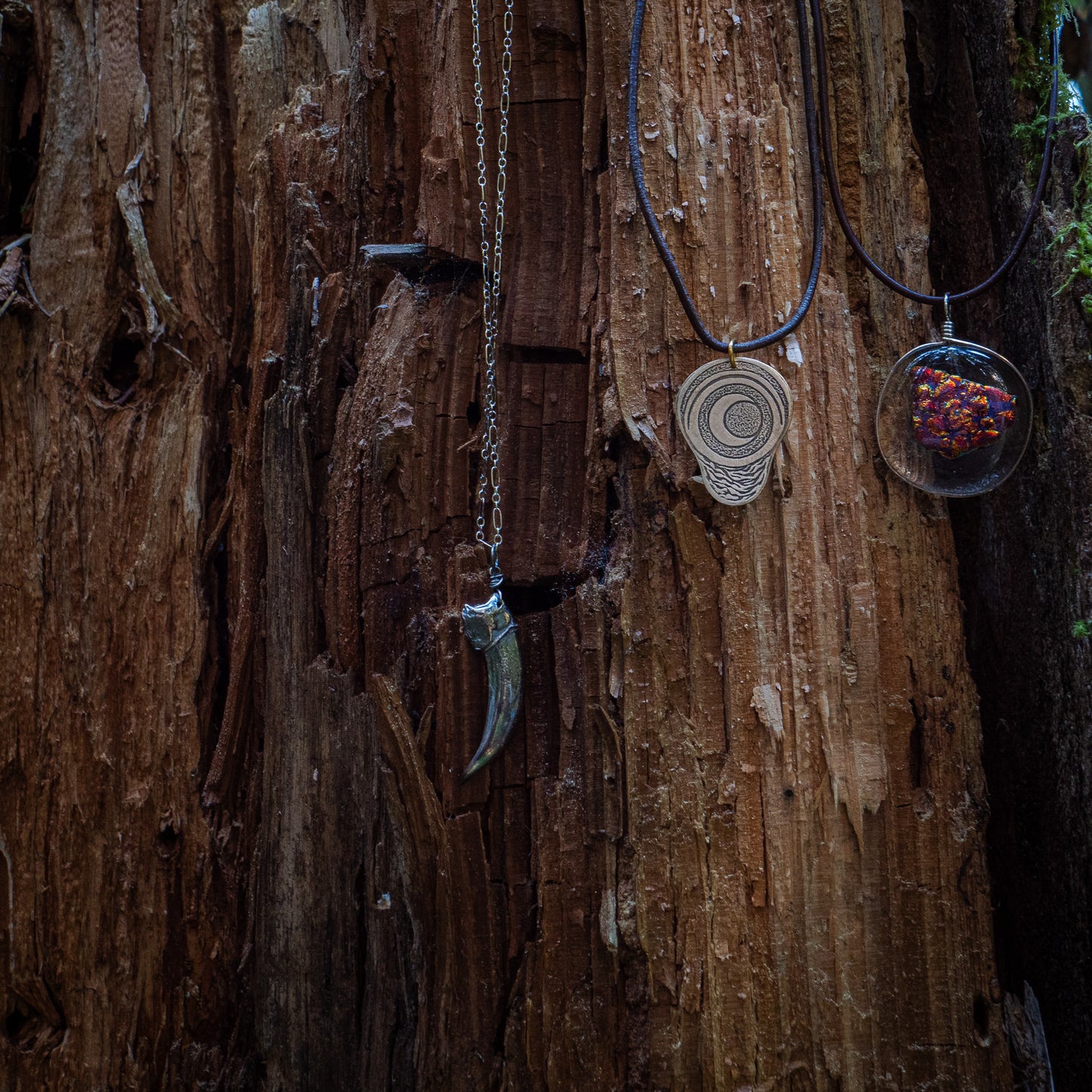 three necklaces - the ember glass, the pregnancy charm, and the badger claw - rest against the bark of a tree.