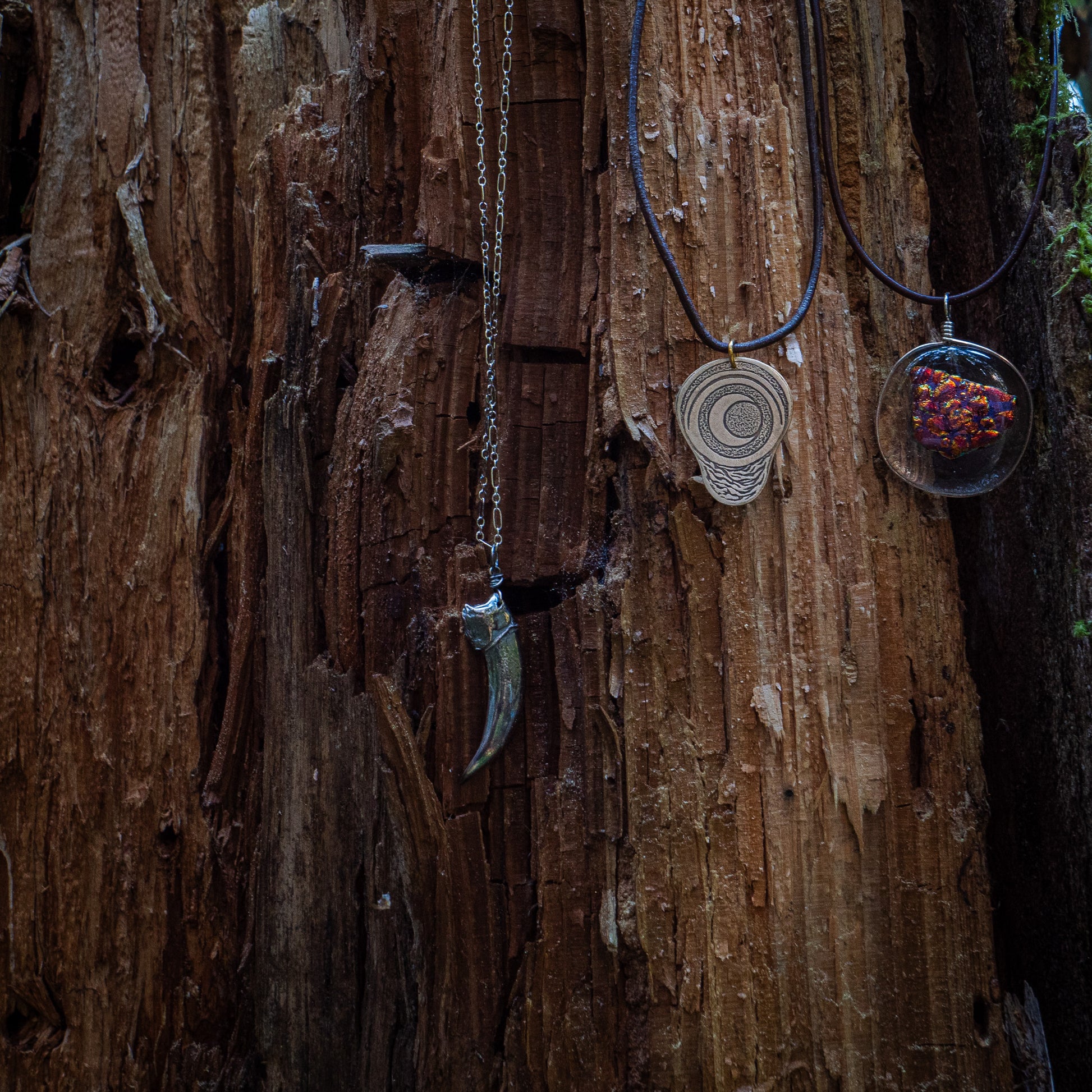 three necklaces - the badger claw, the ember glass, and the pregnancy charm - rest against the bark.